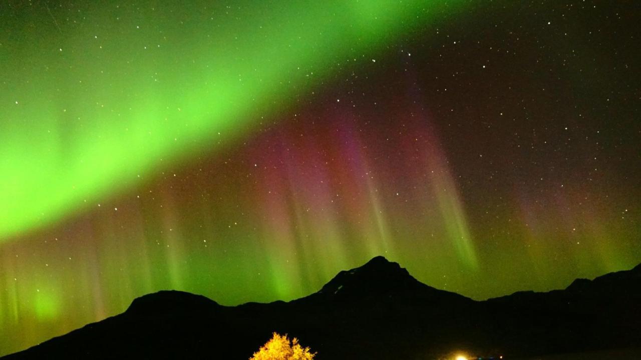Norwegian Dream Διαμέρισμα Gratangen Εξωτερικό φωτογραφία