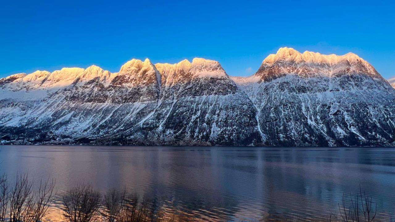 Norwegian Dream Διαμέρισμα Gratangen Εξωτερικό φωτογραφία