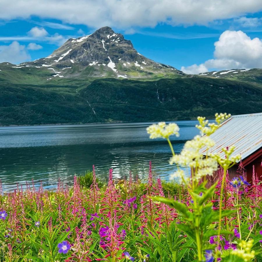 Norwegian Dream Διαμέρισμα Gratangen Εξωτερικό φωτογραφία